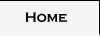 home button